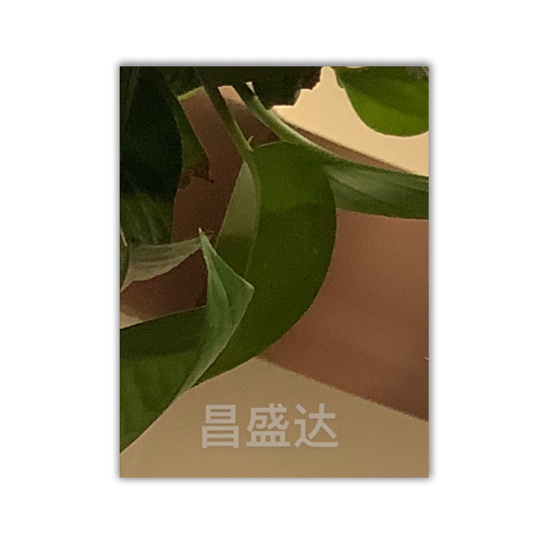 鏡面香檳色